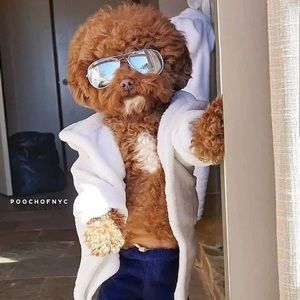 Meet your Posher, Ella